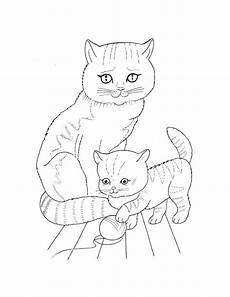 katzenbabys ausmalbilder pet coloring pages to and print for free katzenbabys ausmalbilder pet coloring pages to and print for free