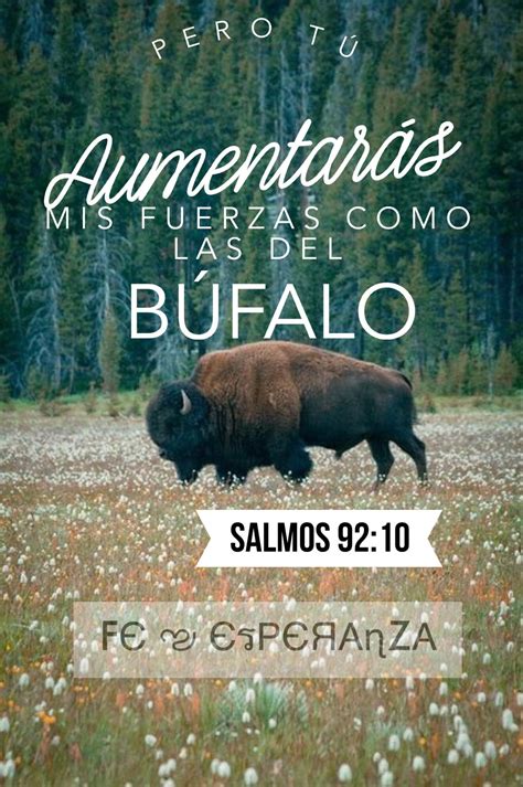 Pero Tú aumentarás mis fuerzas como las del Búfalo salmo 92:10 | Salmo ...