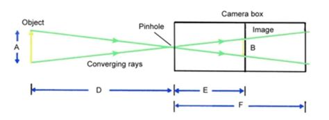 a) On what principle does a pinhole camera work? b) State the ...
