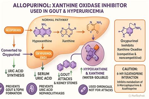 Mechanism of Action of Allopurinol