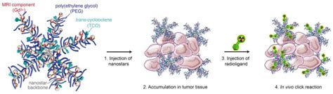 Bioorthogonal “Click” Cycloadditions: A Toolkit for Modulating Polymers ...