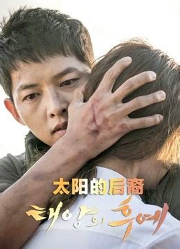 《太阳的后裔》日韩剧 - 全16集免费在线观看 - 高清不卡 - 天龙影院