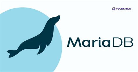 Image result for MariaDB Android Studio
