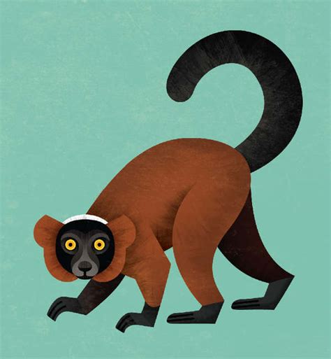 Evolution Graphic 的图像结果