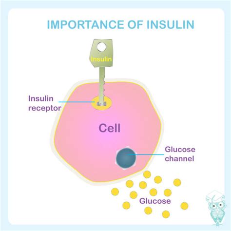 Image result for Insulin Management Algorithm