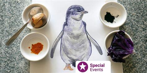 Make Eco-friendly Paints & Drawing Series, Brimbank Libraries: Keilor ...