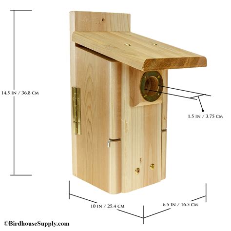 Bluebird House Hole Size