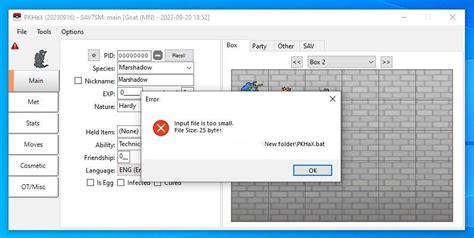 Image result for How to Use Pkhex