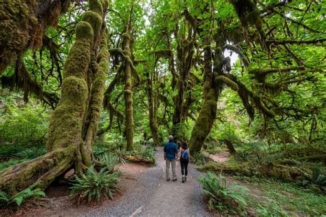 17 of the best things to do in Washington state - Lonely Planet