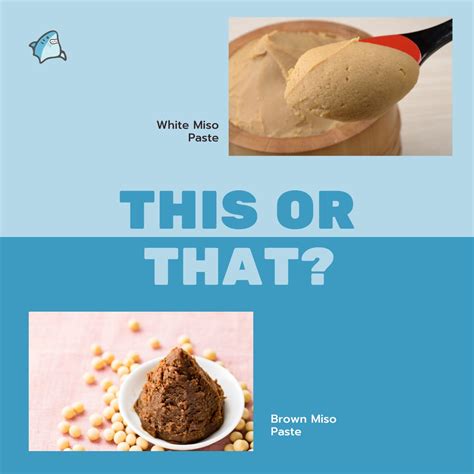 White Miso Paste Vs Brown Miso Paste (5 Facts About These Two Popular ...