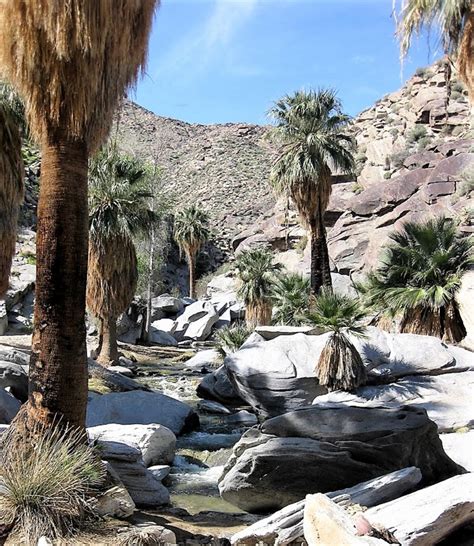 ANDREAS CANYON AND VICTOR TRAIL - CVHC