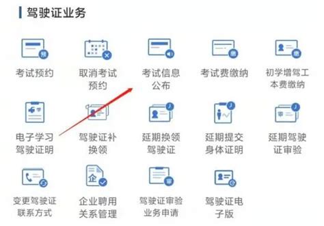 考驾驶证流水号是什么意思-有驾