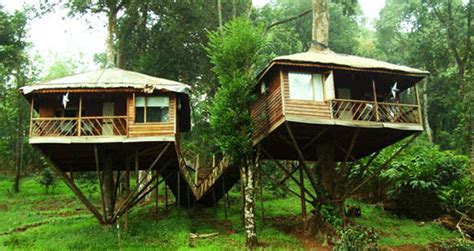 Kerala Tour with Tree House Stay | Kerala Tree Houses Tour Packages