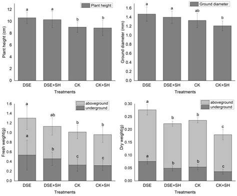 Effects of Dark Septate Endophytes Strain A024 on Damping-off ...