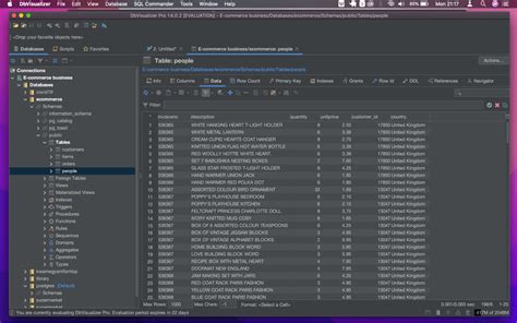 DbVisualizer SQL Statements 的图像结果