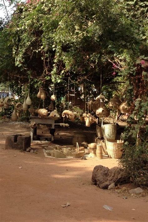 THE GAMBIA EXPERIENCE DAY TOURS - All You Need to Know BEFORE You Go ...