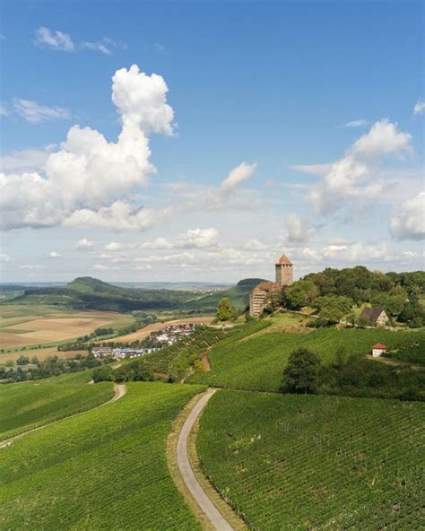 How to Say the Days of the Week in German | Teaching Resources