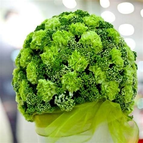 Oasis Floral Products | Oasis Floral Foam For Flower Decoration