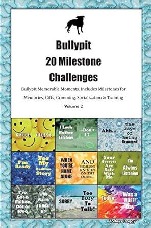 Buy Bullypit 20 Milestone Challenges Bullypit Memorable Moments ...