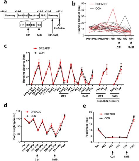 ABA Script Pastebin 的图像结果