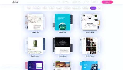 Image result for Divi Theme Examples