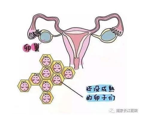 【长江科普】月经周期正常，为什么就是怀不上?到底是哪出了问题？_排卵