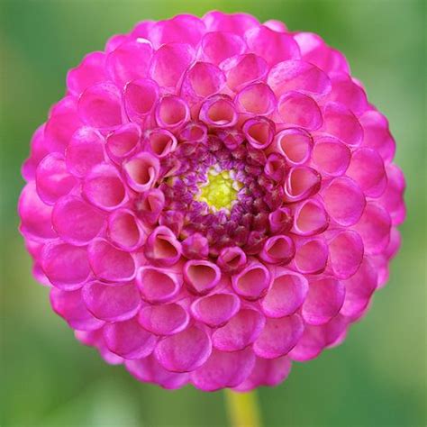 Image result for Machine Vision Deep Learning UI
