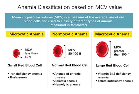 Types Of Anemia Chart
