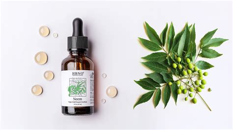 How to Use Neem Oil to Eliminate Fungus Gnats in Your Garden – HBNO Bulk