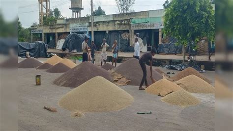Rajasthan Mandi Bhav: राजस्थान में सरसों और गेहूं के बढ़े रेट, जानें ...
