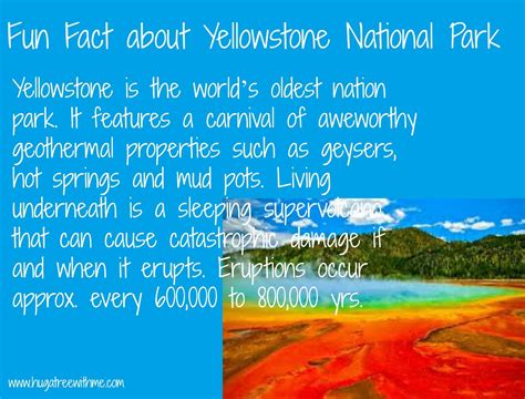 Fun Facts about Yellowstone National Park