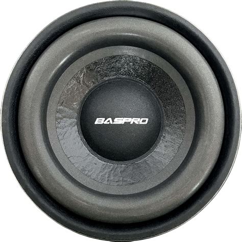 dodj DS-10 INCH Single Magnet SUBWOOFER, MAGTONE SUBWOOFER (Peak Power ...