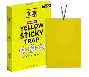 Chipku Yellow Sticky Traps – 10 Rectangle Traps | Eco-Friendly Insect ...