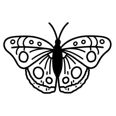 Hand drawn doodle butterfly. Vector sketch illustration, black outline ...
