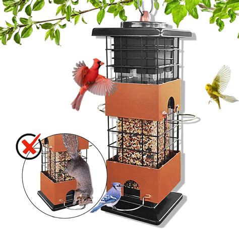 Amazon.com : Squirrel Proof Bird Feeder, Metal Bird Feeders for ...