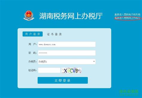 湖南地税网上申报系统图片预览_绿色资源网