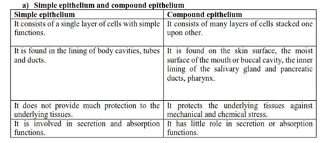 NCERT Solutions for Class 11 Biology chapter 7 Structural Organization ...