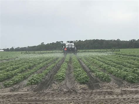 Ag Row and Ornamental/Turf Pesticide Review and Exam, UF/IFAS Extension ...