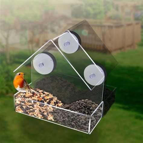 Bird Feeder In Your Window at Annalisa Hanley blog