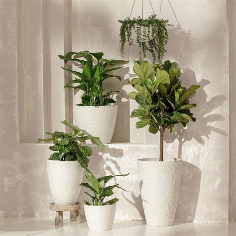 Buy LA Jolie Muse Indoor Planters Flower Pots - 9.4 Inch Planter Pot ...