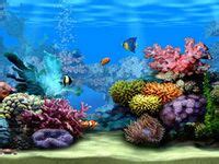 Image result for Spring Lateral Deflection