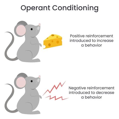 Operant Conditioning Example