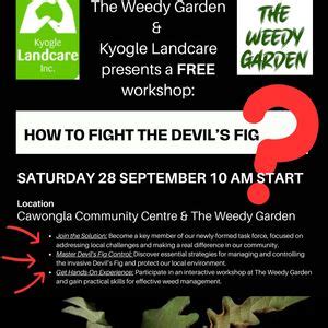 Devils Fig work bee in The Weedy Garden, Cawongla Community Centre ...