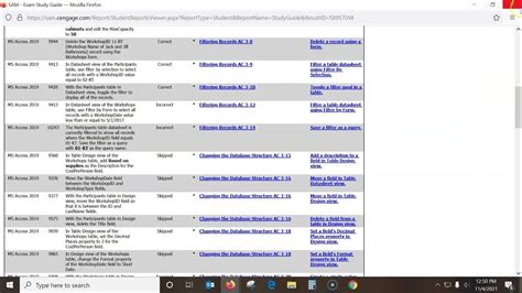 Access Module 3 Sam Project 的图像结果