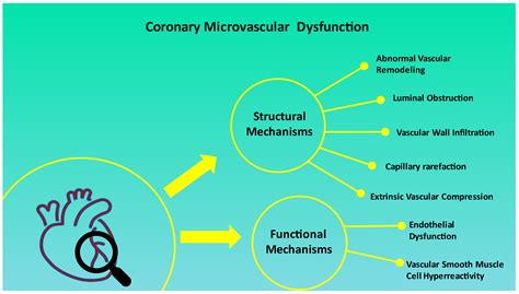 Myocardial Infarction with Non-Obstructive Coronary Arteries (MINOCA ...