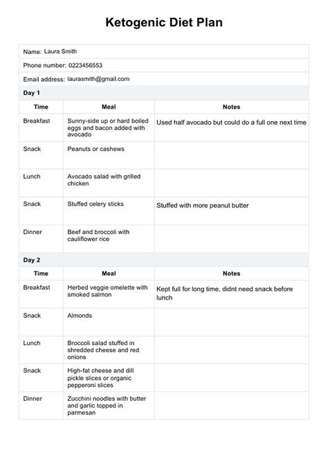 Ketogenic Diet Plan Template & Example | Free PDF Download