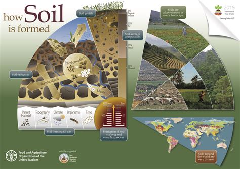 Dynamic role of soil and terrestrial ecosystems in the global C cycle - Soil Carbon Information Hub