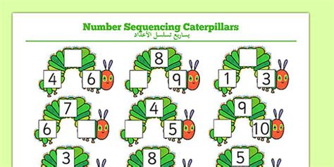 The Very Hungry Caterpillar Number Sequencing Caterpillars Arabic ...