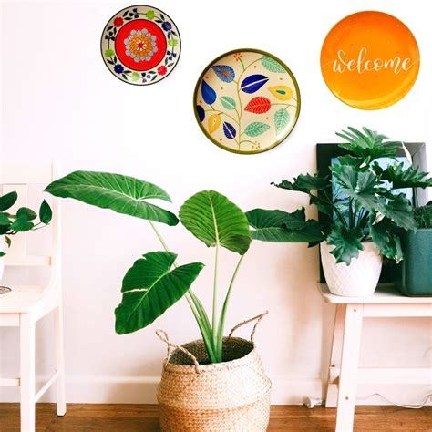 Wall Plates Decor - Set of Decorative wall plates - Buy Online India ...