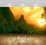 Avikalp Exclusive Awi2947 Related For Sunset Over Forest Full HD Wallp ...